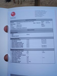 Ajuda pro meu filho luiz henryque nasceu com sopro imagem 7