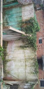 Vaquinha Online - Ajuda para construção de uma casa