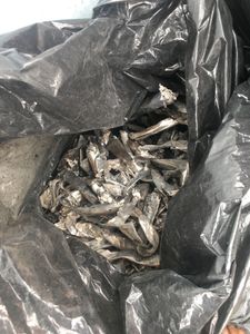 Centro de reciclagem - Criação de centro de recolhimento de reciclagem e apoio ao catador coletor