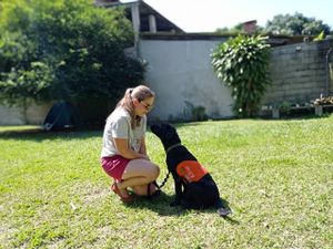 Financiamento Coletivo - Instituto Iris: Apadrinhe um Cão-Guia!