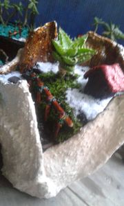 Coraçao empreendedor imagem 10