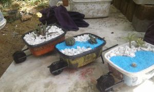 Coraçao empreendedor imagem 8