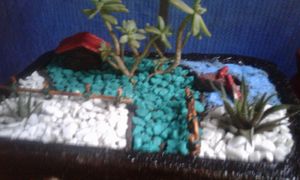 Coraçao empreendedor imagem 9