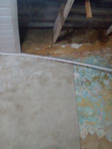 Valsilva - Preciso trabalhar 