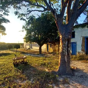 Vaquinha Online - Casa de reabilitação de dependentes químicos ou seja pessoas nos vícios das drogas 