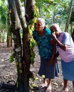 Vaquinha Online - Um lar para Regina 