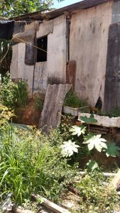 Causas e Comunidade - Ajude a construir uma casa segura para uma família 