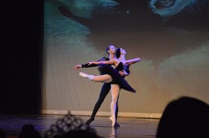 Ajuda de custos para bailarina brasileira que ganhou bolsa de estudos no exterior