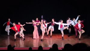 Ajuda de custos para bailarina brasileira que ganhou bolsa de estudos no exterior imagem 8