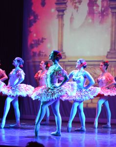 Ajuda de custos para bailarina brasileira que ganhou bolsa de estudos no exterior