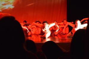 Ajuda de custos para bailarina brasileira que ganhou bolsa de estudos no exterior imagem 6