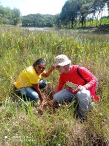 Salve a Mata do Sitio Amescla imagem 7