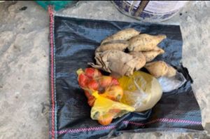 Caridade e Filantropia - Isac, do Gâmbia, na Africa precisa da sua ajuda