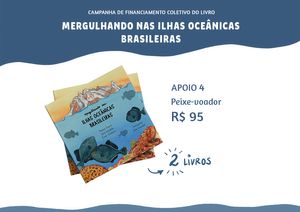 Florianópolis/SC - Mergulhando nas ilhas oceânicas brasileiras