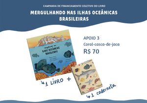 Marina Sissini - Mergulhando nas ilhas oceânicas brasileiras