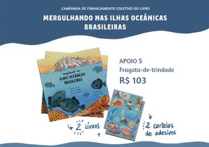 Mergulhando nas ilhas oceânicas brasileiras imagem 6
