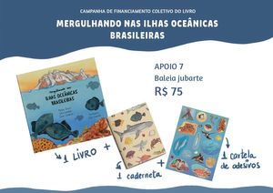 Mergulhando nas ilhas oceânicas brasileiras imagem 8