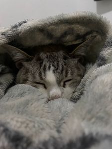 Tudo pela Kiara 💞🐾 - Tudo pela Kiara 💞🐾