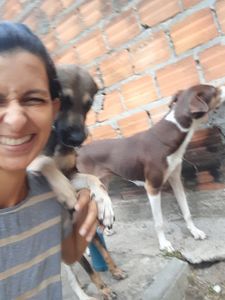 Animais - Ajude a salvar vidas com sua doação mensal Abrigo Amor de Pet Belém/Pa