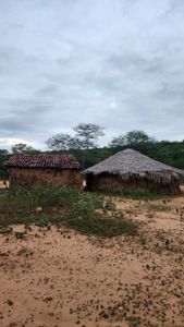 Povo Kambiwá - Acampamento Terra Livre (ATL) - Povo Kambiwá - Acampamento Terra Livre (ATL)