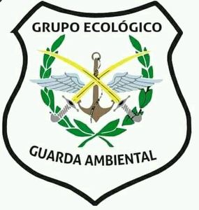 Financiamento Coletivo - GEGA APARECIDA 