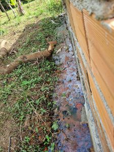 Vamos ajudar o lar dessa família se tornar uma casa! imagem 10