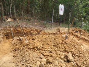 A Capela de Nossa Senhora Aparecida. Sítio Samambaia-açu. imagem 6