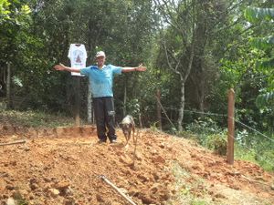 A Capela de Nossa Senhora Aparecida. Sítio Samambaia-açu. imagem 8