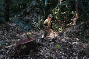 Causas e Comunidade - Ajude os Guardiões da Floresta Krikati