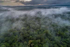 Reckitt e WWF - Brasil - Grupo Reckitt e WWF: juntos pela proteção de bacias hidrográficas vitais
