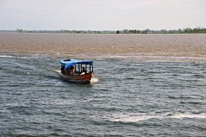 Financiamento Coletivo - Grupo Reckitt e WWF: juntos pela proteção de bacias hidrográficas vitais