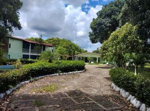 A Promessa! Centro Terapêutico Para Reabilitação de Dependentes Químicos. -  A Promessa! Centro Terapêutico Para Reabilitação de Dependentes Químicos.