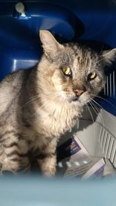 Vaquinha Online - Eles não são invisíveis