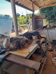 Eles não são invisíveis! - Eles não são invisíveis