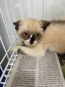 Eles não são invisíveis imagem 6