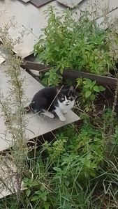 Eles não são invisíveis imagem 9