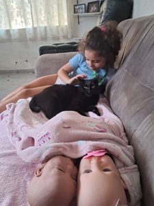 Ajude essa mãe solo a não quebrar!