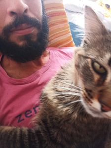 Renato  - Rifa da Gatilha