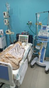 Vaquinha Online - Ajuda para internação do Spike 