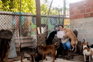 Crowdfunding - Patinhas da Esperança