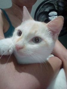 Vaquinha Online - Ajude beijuzinho e seus irmãos a ter o que comer