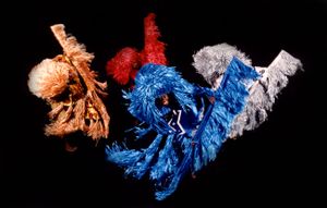 FILMAGENS DO DOCUMENTÁRIO BALÉ FOLCLÓRICO DA BAHIA imagem 7