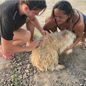 Enfermagem em Ação  imagem 7