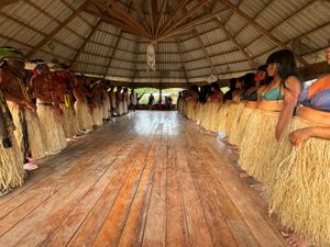Sou PANÃ KAMANAWA da aldeia Varî Peo, me ajude a construir uma casa para minha família! imagem 8