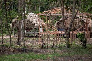 Sou PANÃ KAMANAWA da aldeia Varî Peo, me ajude a construir uma casa para minha família! imagem 10