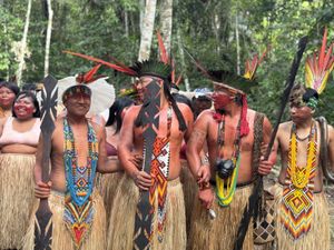 Sou PANÃ KAMANAWA da aldeia Varî Peo, me ajude a construir uma casa para minha família! imagem 7