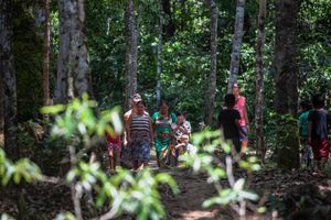 Sou PANÃ KAMANAWA da aldeia Varî Peo, me ajude a construir uma casa para minha família! imagem 6