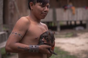 Cruzeiro do Sul/AC - Sou PANÃ KAMANAWA da aldeia Varî Peo, me ajude a construir uma casa para minha família!