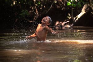 Sou PANÃ KAMANAWA da aldeia Varî Peo, me ajude a construir uma casa para minha família! imagem 9