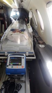 #TODOS-PELA-MANU-RARA  imagem 7